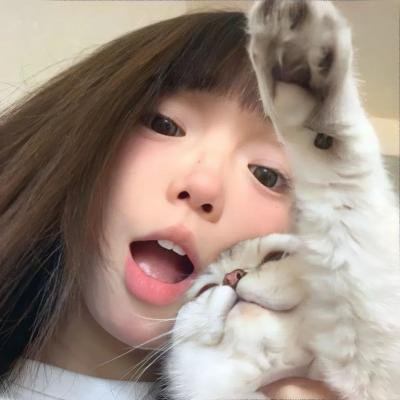 联邦调查局第五季